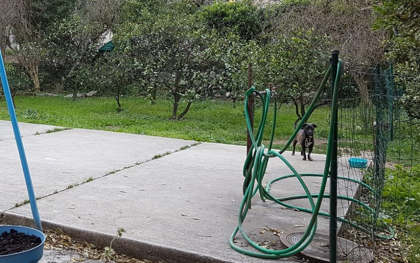 Kuća za prodaju i poslovni prostor na prvoj liniji u Kotoru