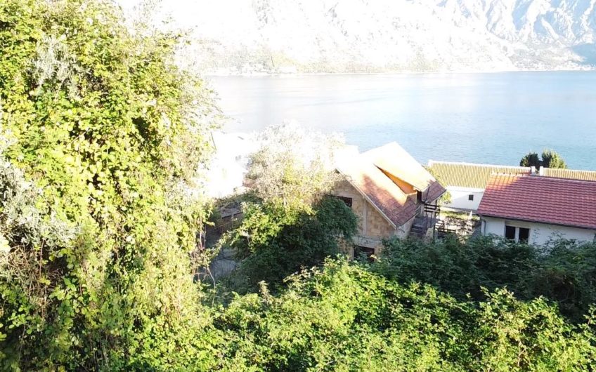 Sale of a plot of 3.000 m2 in Stoliv, Kotor