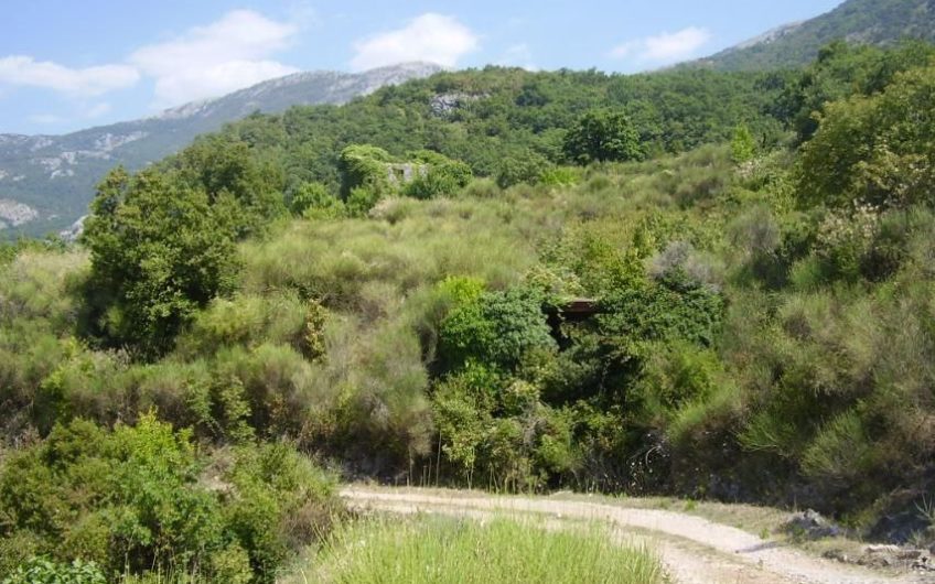 Land plot 6.800 m2 – overlooking Sveti Stefan