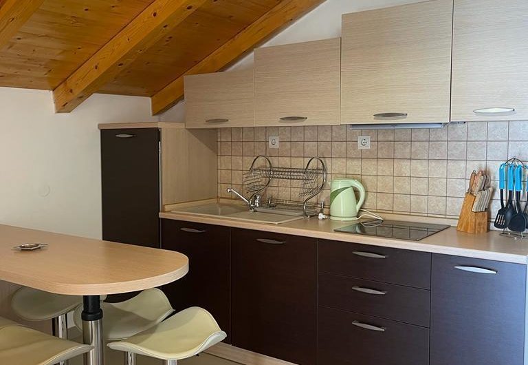 House with 5 apartments in Baosici – for living and business