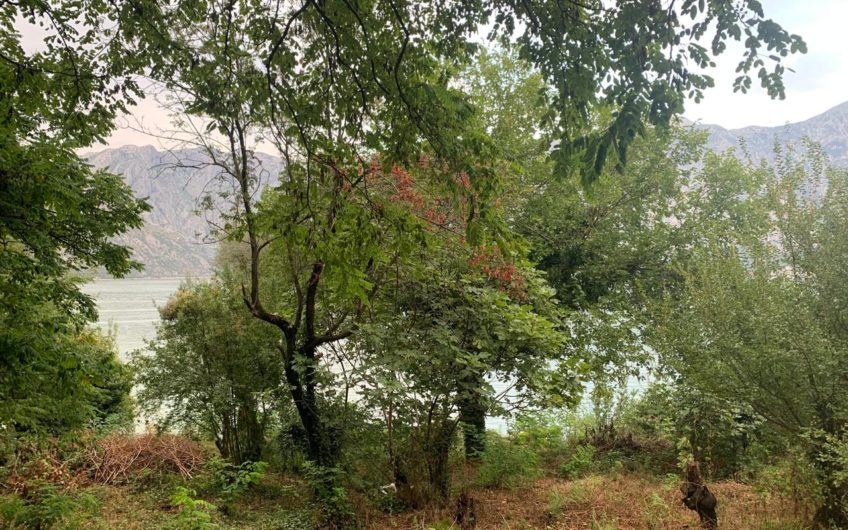 Unique plot for sale. Stoliv – first line