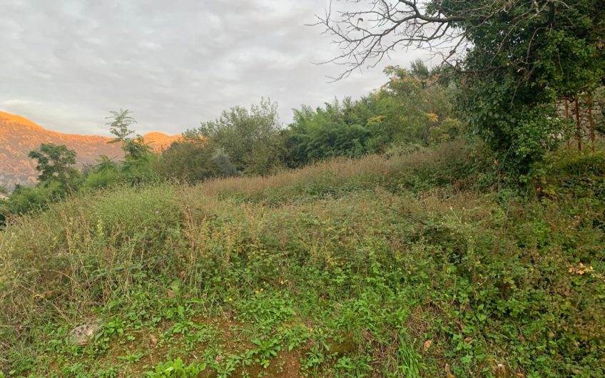 Unique plot for sale. Stoliv – first line