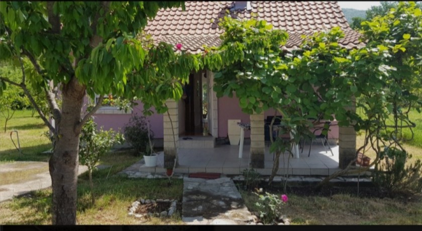 House with a beautiful garden in Zelenika