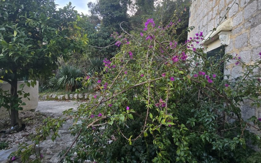 Stone house in the Bay of Kotor – affordable price