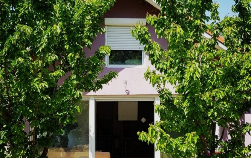 House with a beautiful garden in Zelenika