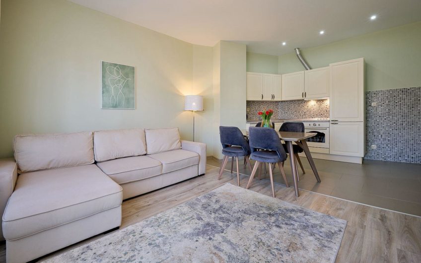 1-bedroom apartment in Belvedere Residence