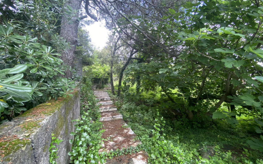 Unique plot of land 1,141 m2 in Krasici – 15 meters from the sea!
