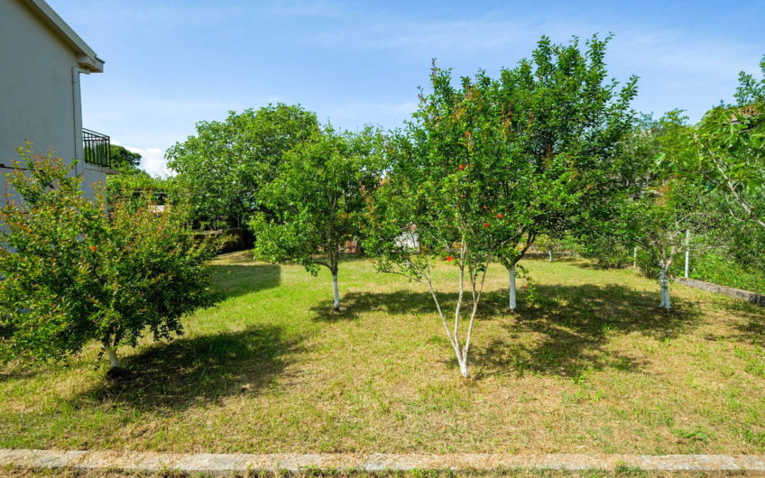 House with a garden in Luštica – 250 meters from the sea