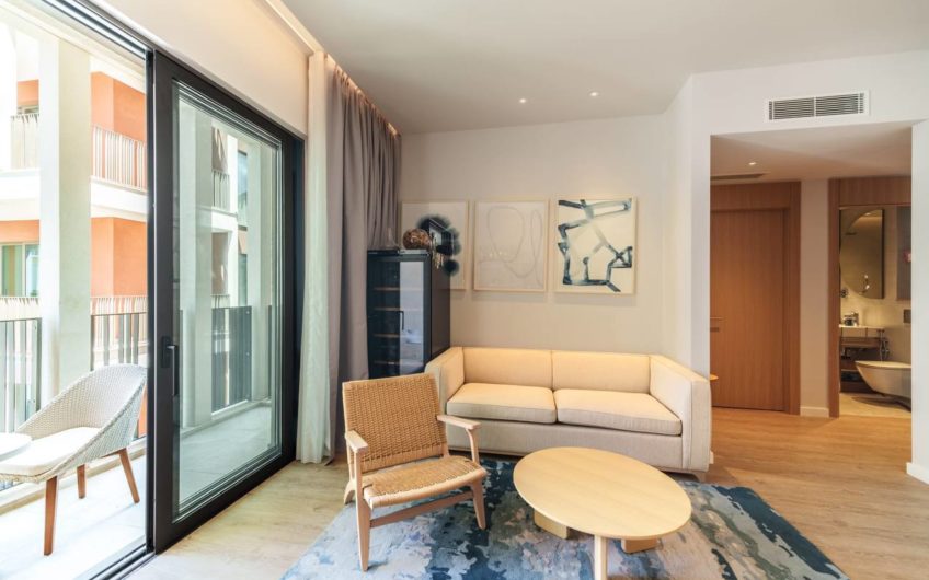 Furnished one-bedroom apartment in the prestigious Boka Place complex