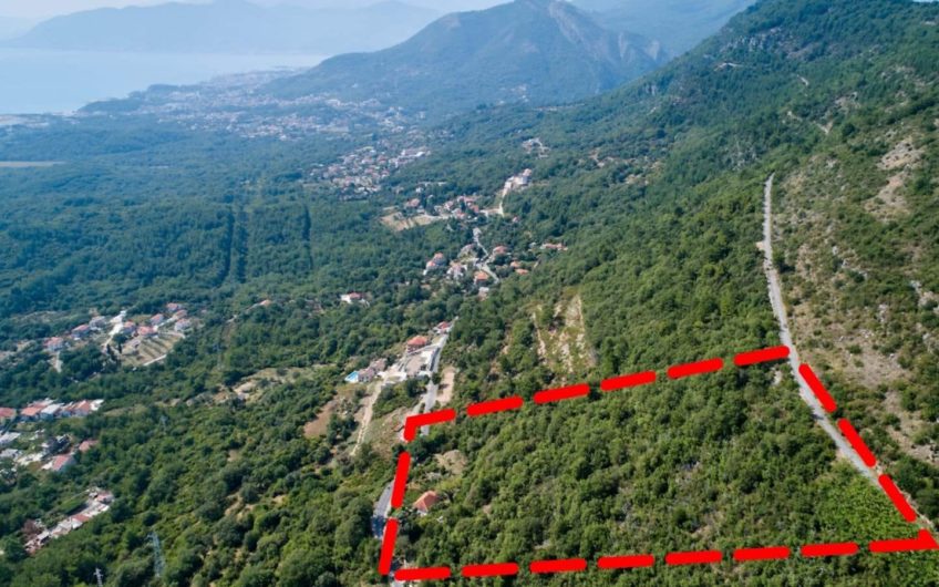 Urbanized plot of 13,320 m2 – Kavac
