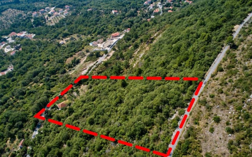 Urbanized plot of 13,320 m2 – Kavac