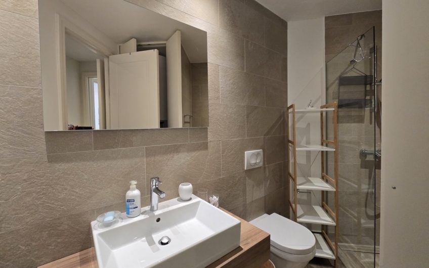 Lustica Centrale – 2-bedroom apartment for sale