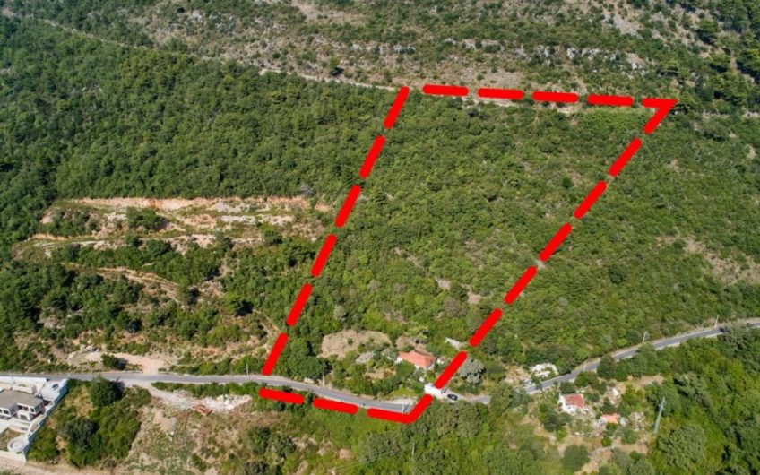 Urbanized plot of 13,320 m2 – Kavac