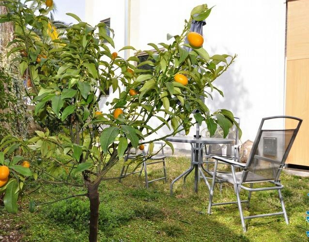 A three-story house in Becici is for sale – 7 apartments.