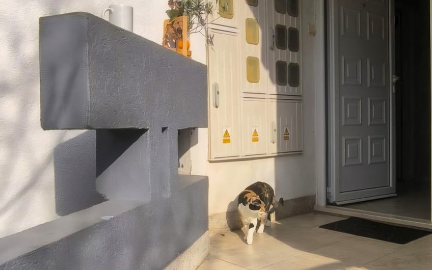 Two-bedroom apartment on the seafront in Dobrota