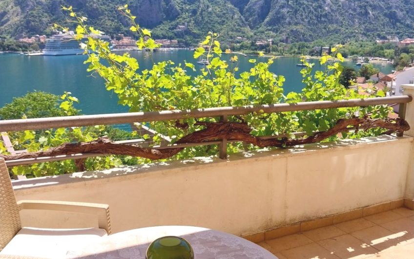 Muo Kotor Bay complex – the only two-bedroom apartment for sale