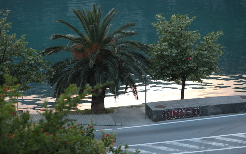 Tree-room waterfront apartment in the center of Risan