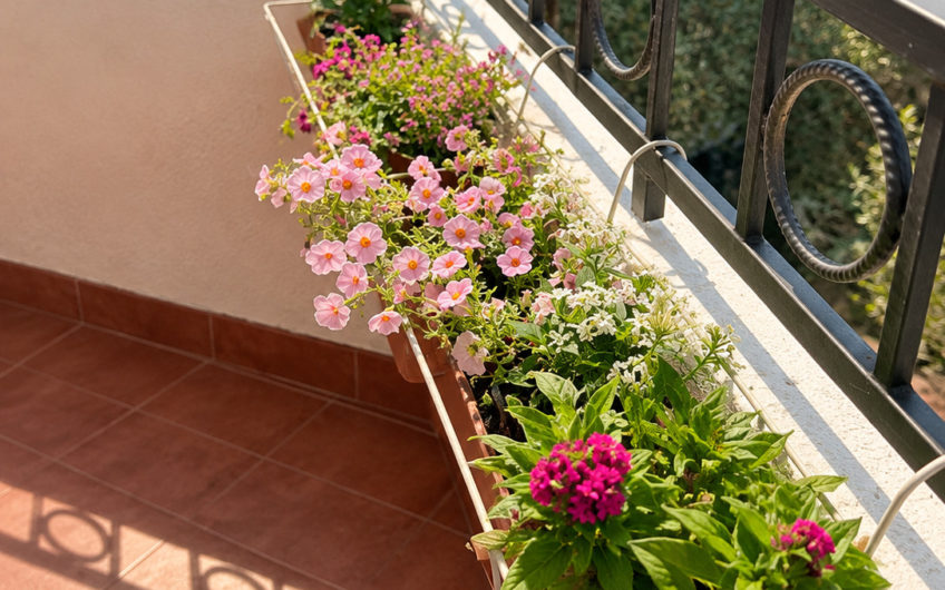 Petrovac – Urgent sale of a two-room apartment 52 m2