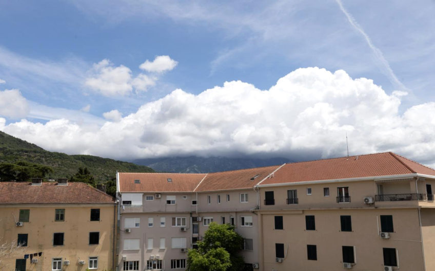 Two-bedroom apartment on the Pine waterfront in Tivat