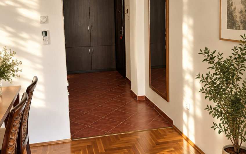 Petrovac – Urgent sale of a two-room apartment 52 m2